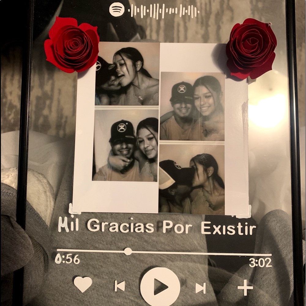 Regular album glass